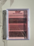 WINXED BEAUTY DIY CLUSTERS & BOTTOM LASH